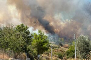 Antalya Kumluca'daki orman yangınına müdahale ediliyor